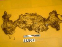 藏品(漁網)的圖片